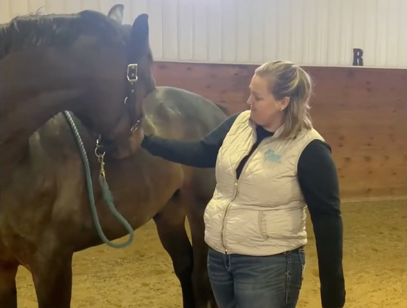 How to Warm Up Your Horse with Carrot Stretches for a Better Ride
