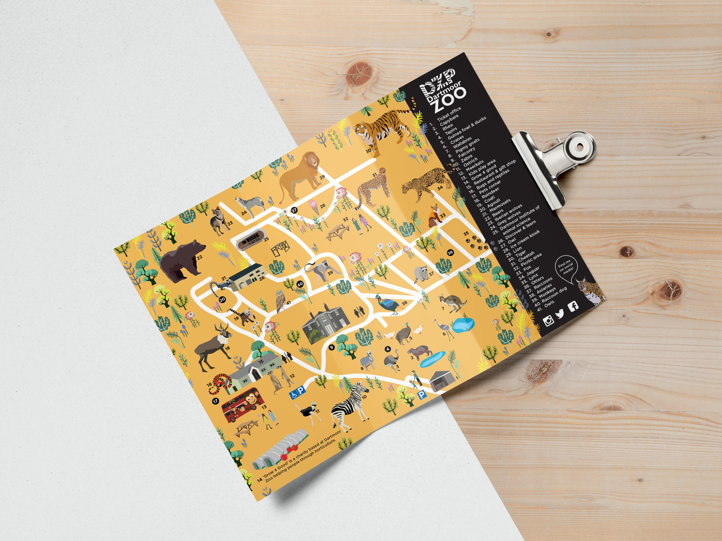 DARTMOOR ZOO MAP | ILLUSTRATION | EDITORIAL