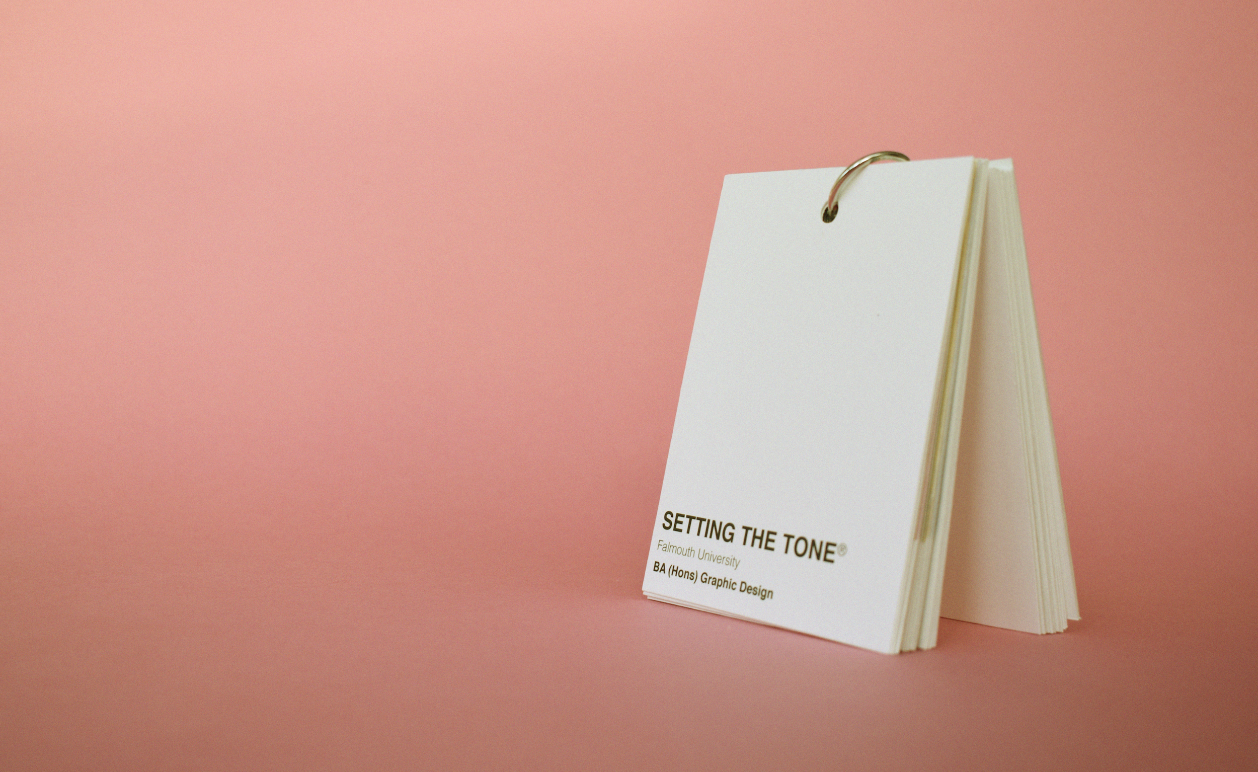 The swatch card will be double sided, a photo of you on one side and your favourite colour on the other. These can then be worn at the exhibition and the agencies/designers can come and find you. It’s a big conversation starter, sparking questions a