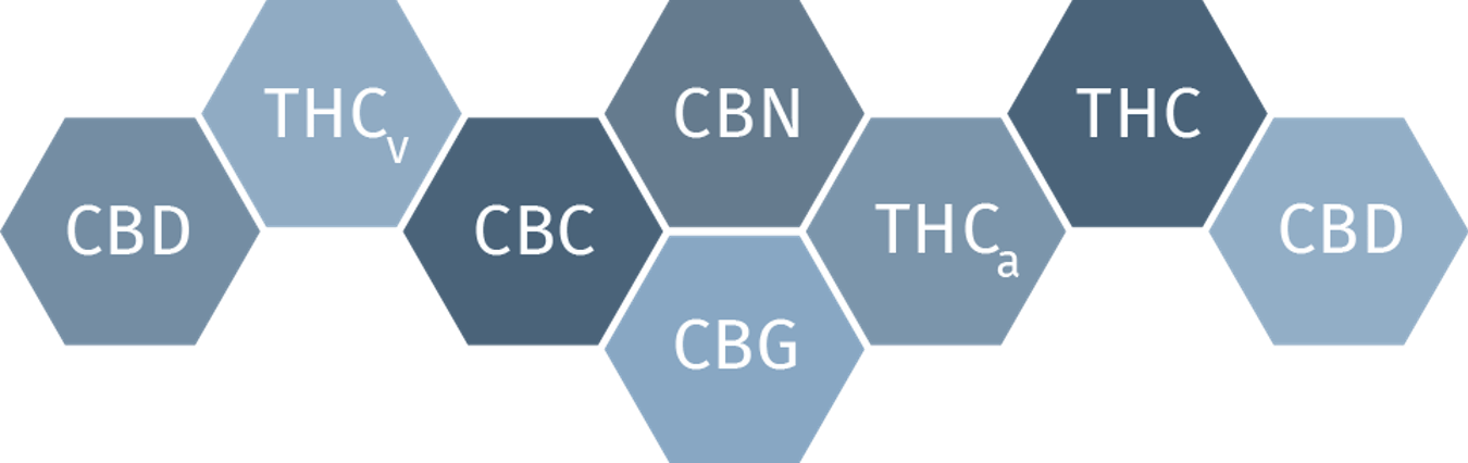 Cannabinoid.png
