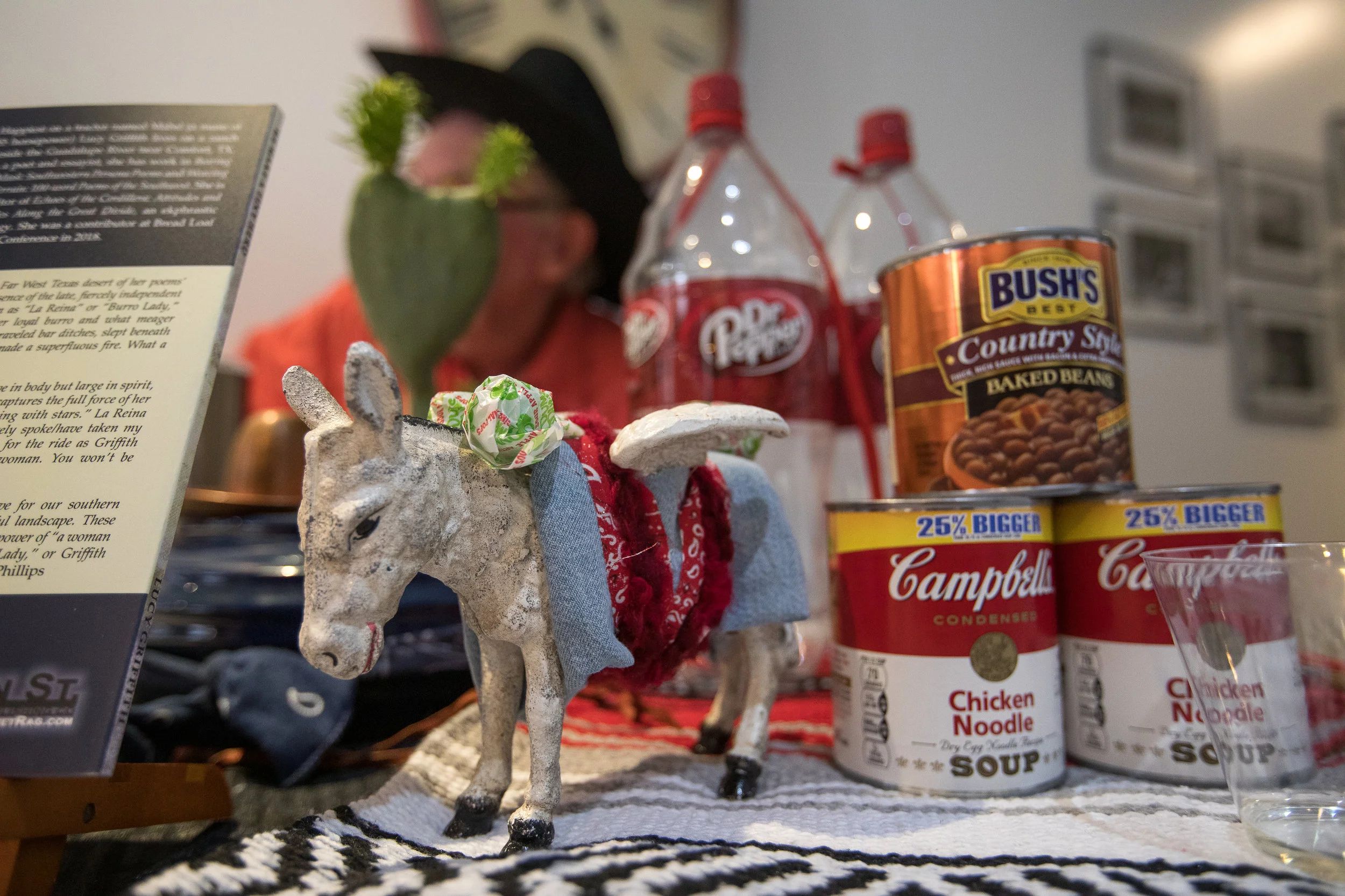 We Make a Tiny Herd Book Launch