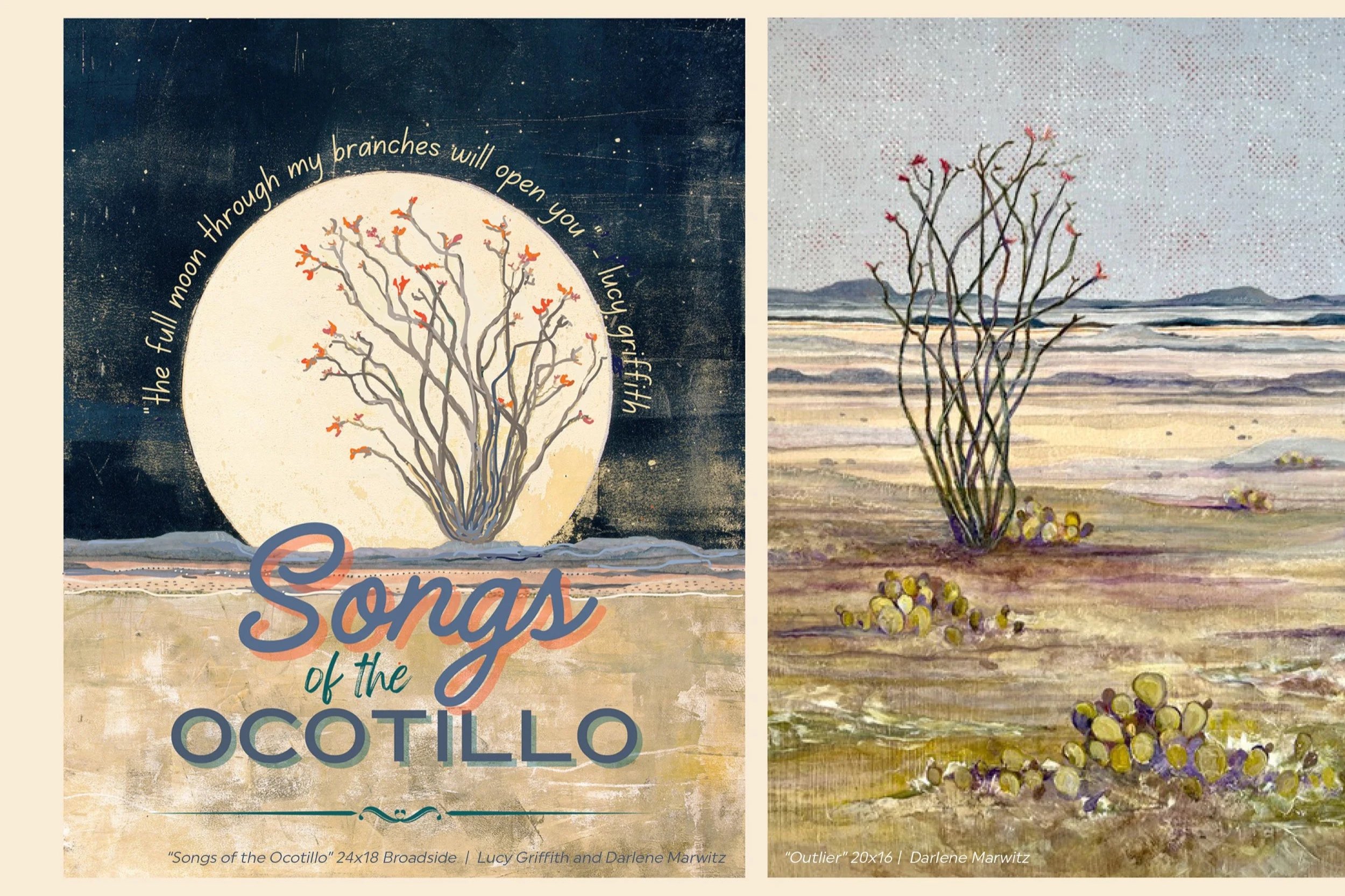 Songs of the Ocotillo Book Launch, April 11th 2026 at 4p