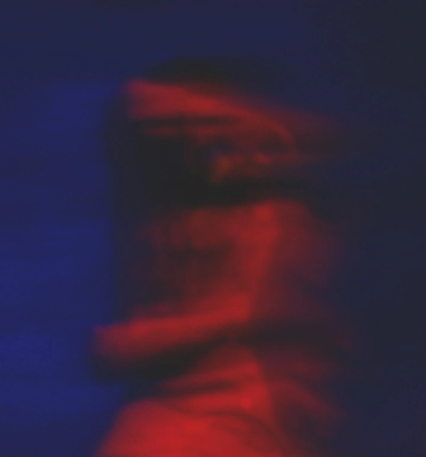 &bull; KAI &bull; LA &bull; 

#pointandshoot #kai #kaion #exokai̇ #exo #카이 #김종인