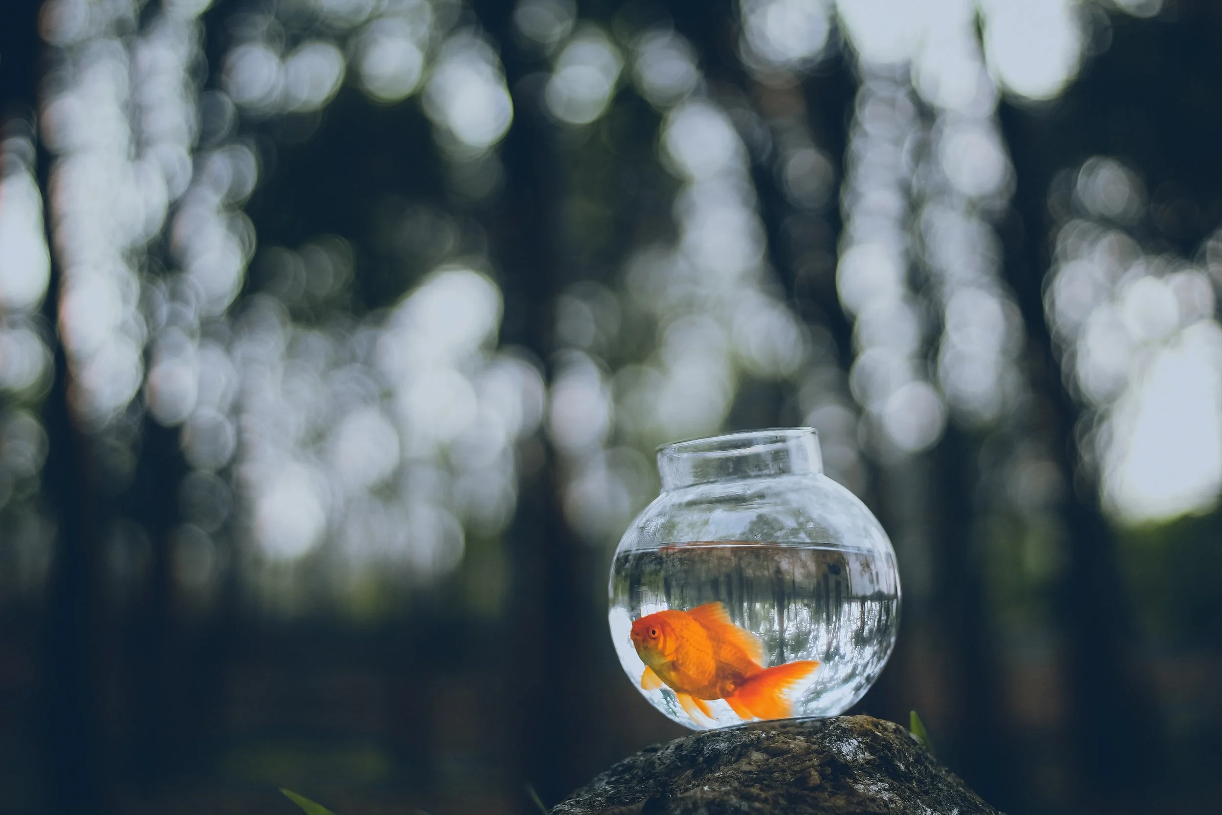 unsplash-image-B1lEQxhq9a8.jpg