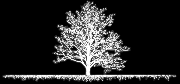 tree.gif