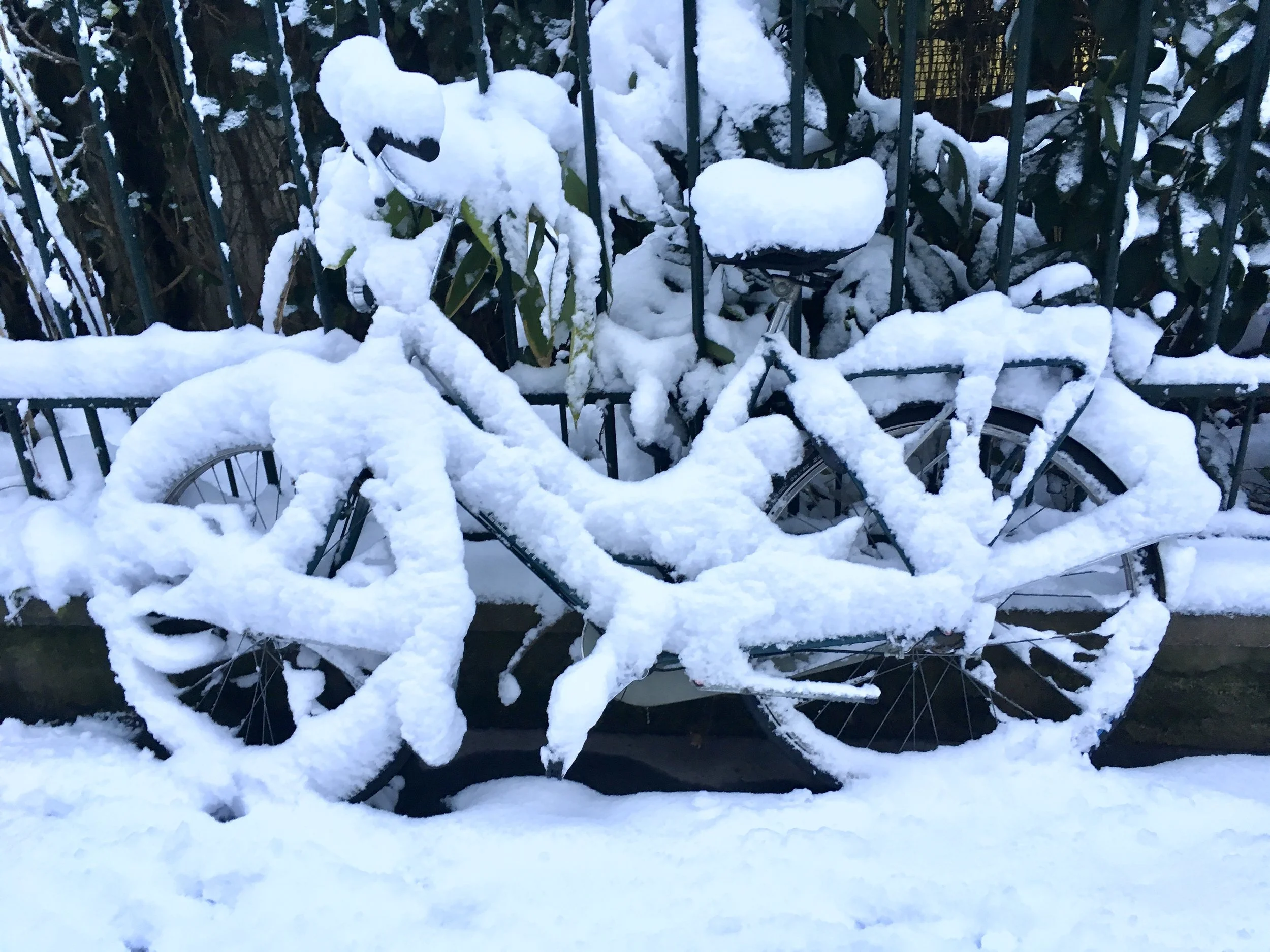 Paris in the Snow