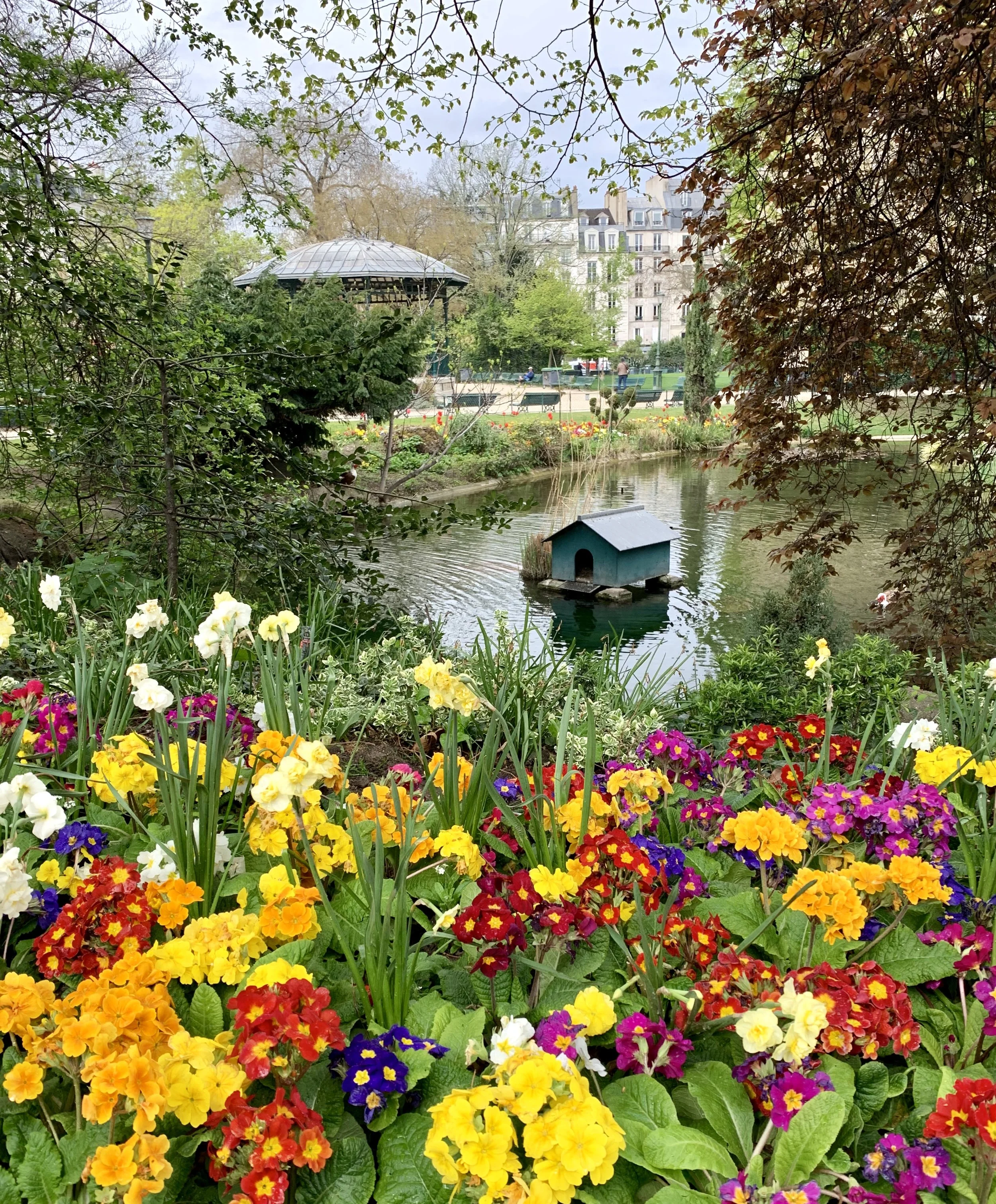 Spring Arrives in Paris