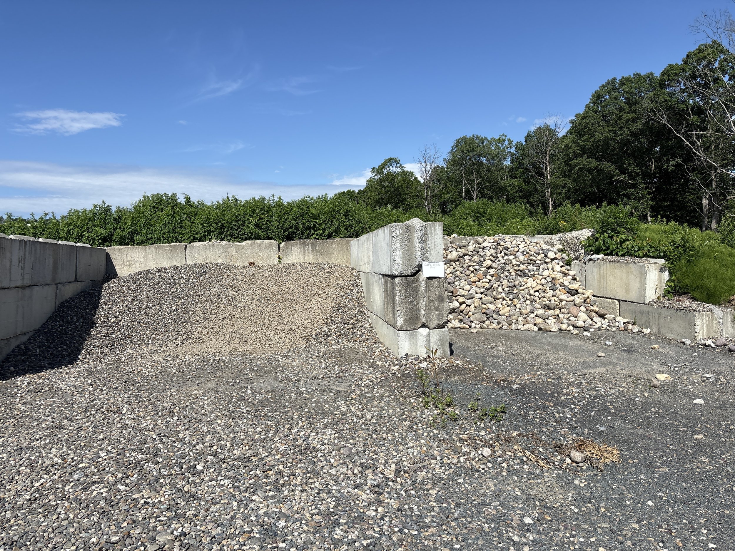 IMG_9251.JPG
