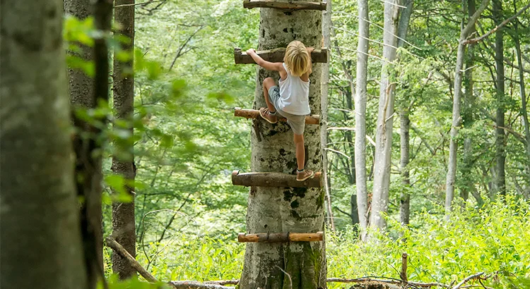 Demand for Homes to Buy Continues to Climb