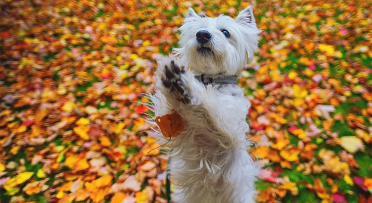 The #1 Reason to Not Wait Until Spring to Sell Your House