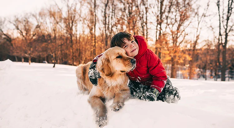 4 Reasons to Buy A Home This Winter!