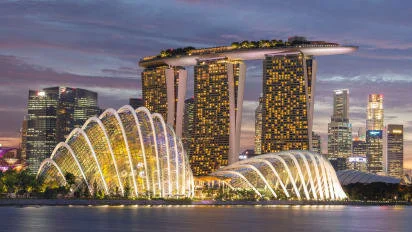 Singapore night image.jpg