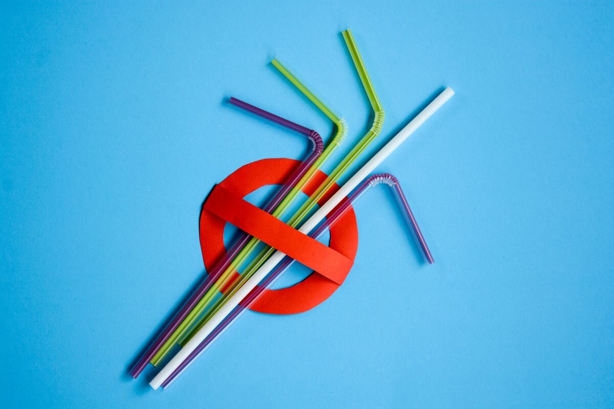 The Final Straw.jpg