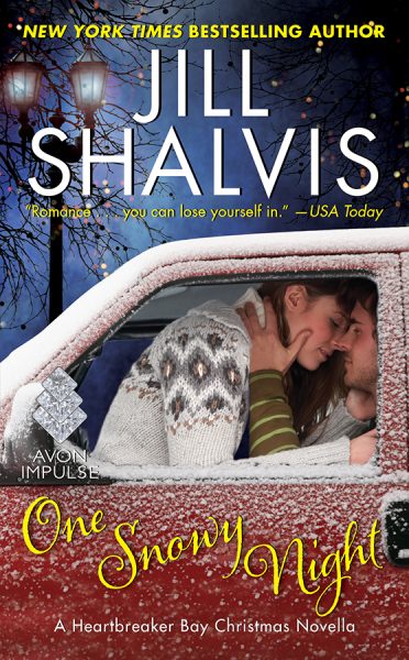 Hot Winter Nights: A Heartbreaker Bay Novel (Heartbreaker Bay, 6):  9780062741837: Shalvis, Jill: Books 