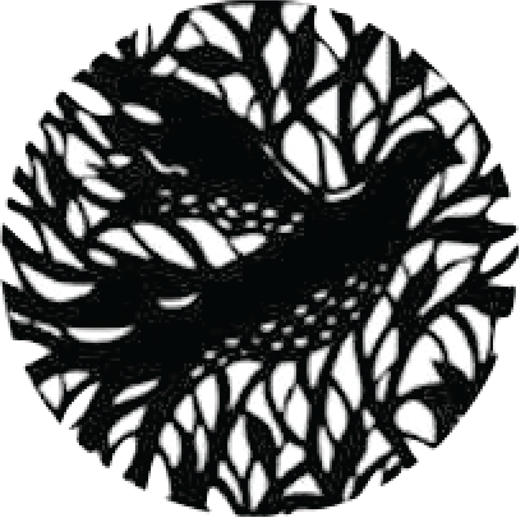 Congregation Havurah Shalom