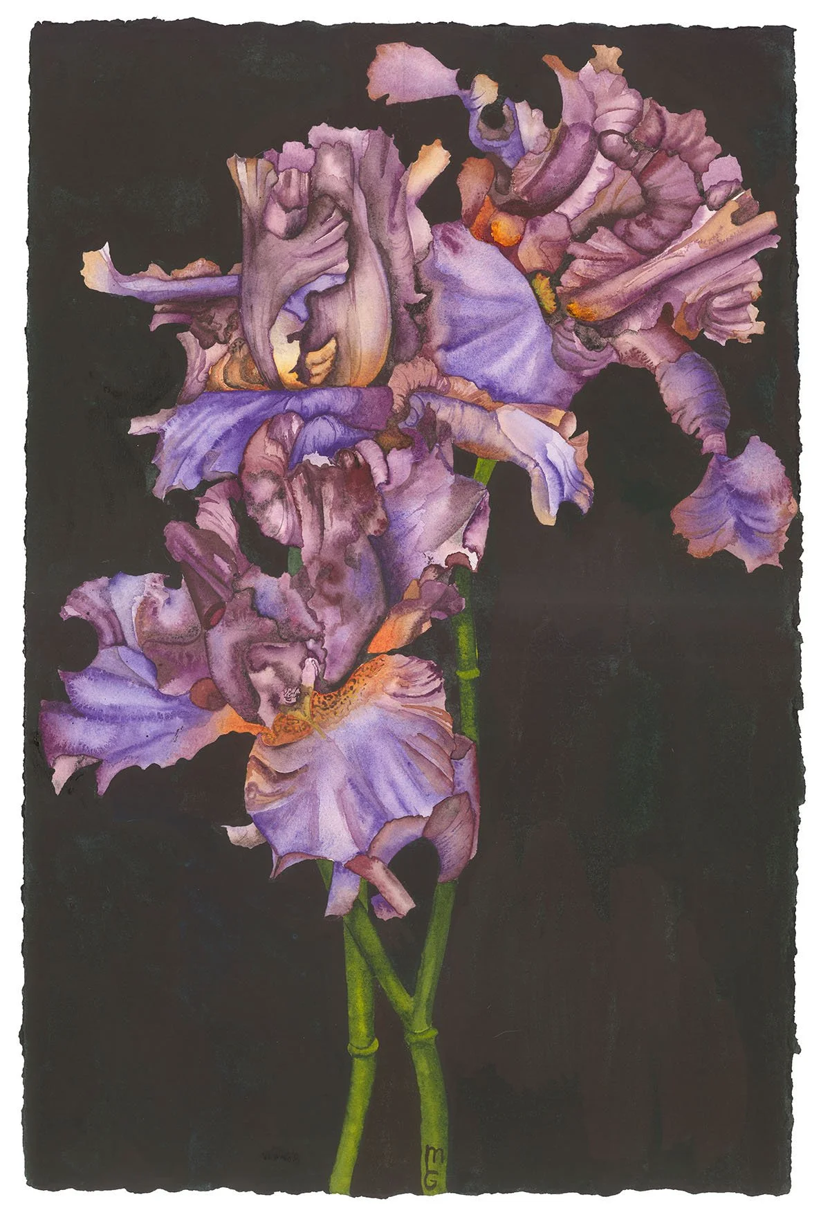 Watercolor Workshop with Mary Lyn Gough ( 2 sessions, October 12th and 19th)