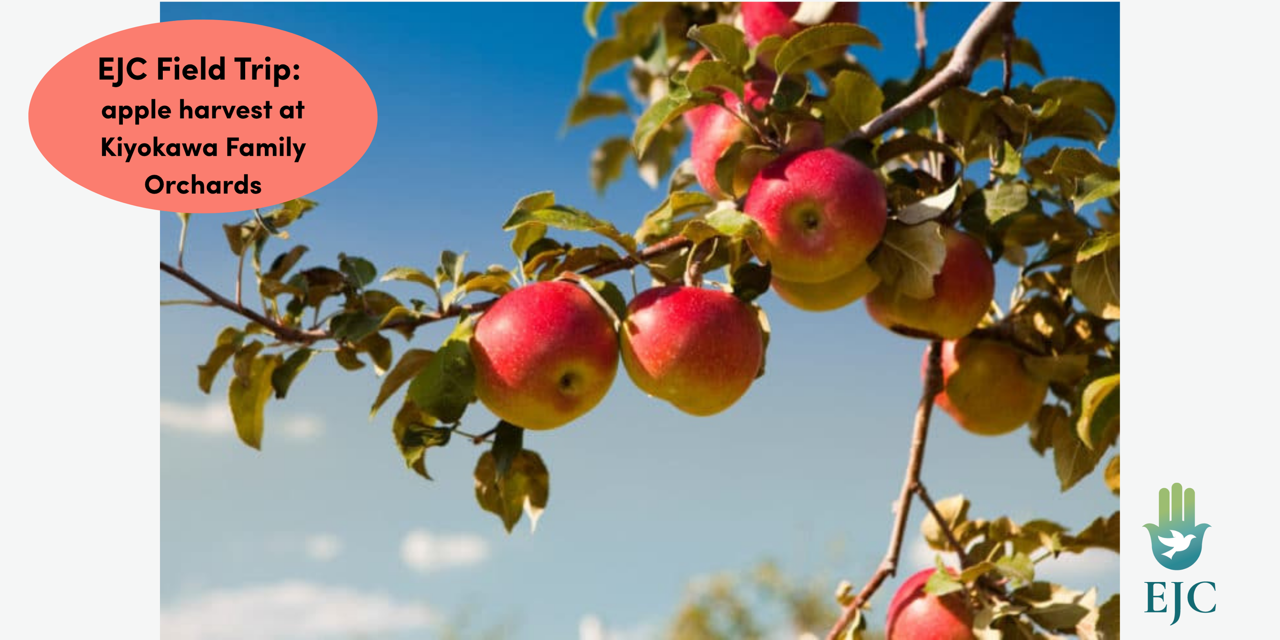 EJC Field Trip: Apple Harvest 