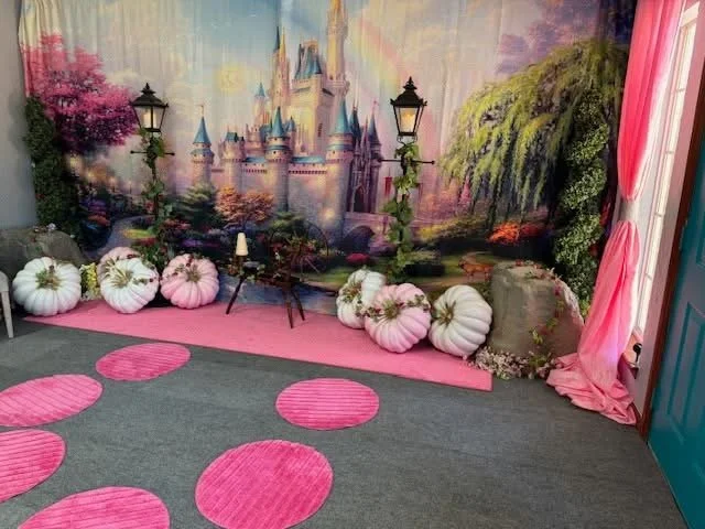 Princess Backdrop