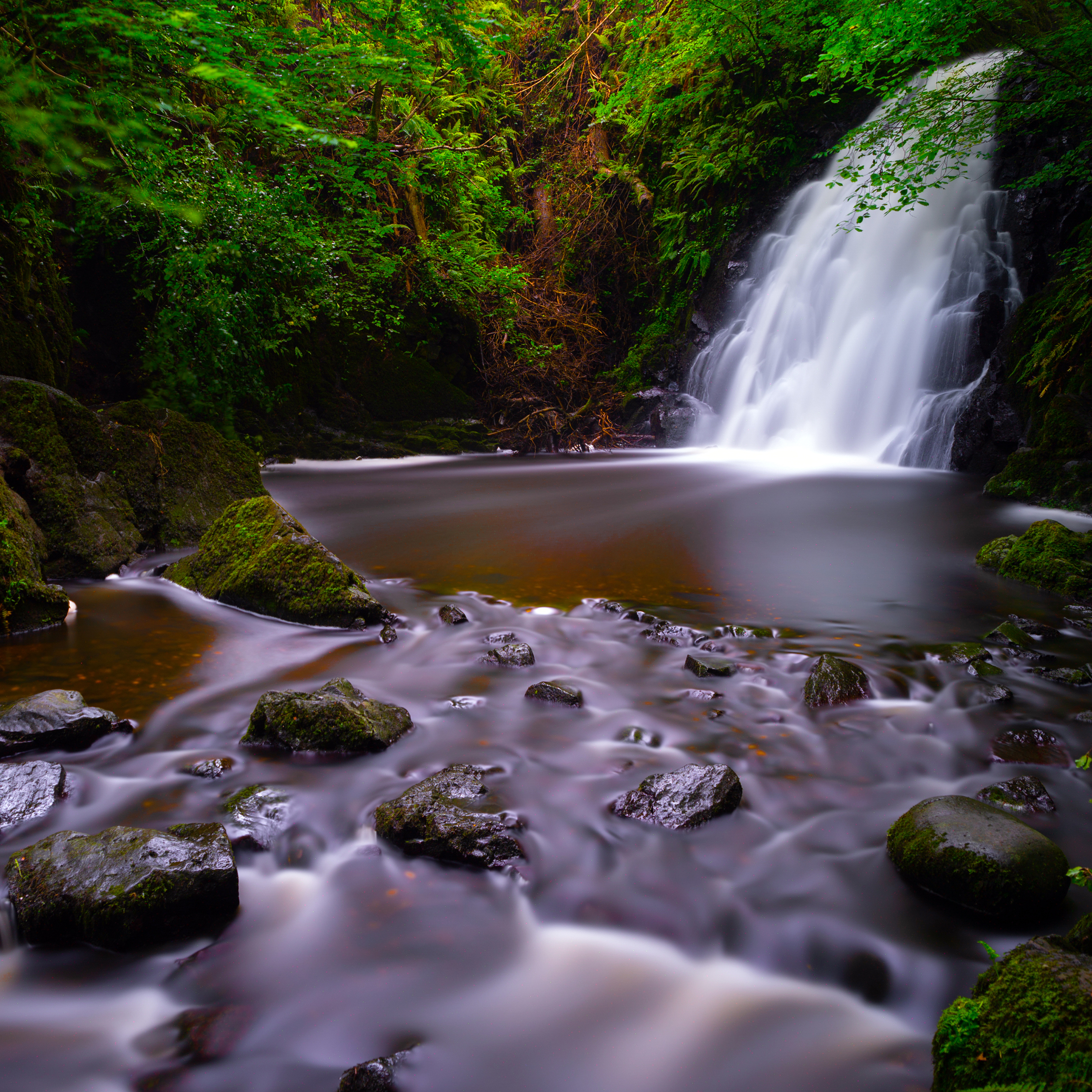 FOR SQUARESPACE LANDSCAPE.jpg