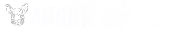 HEADER_ABOUT.png