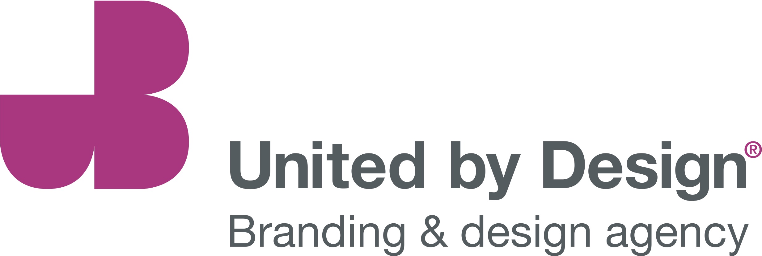 ubd Logo.jpg