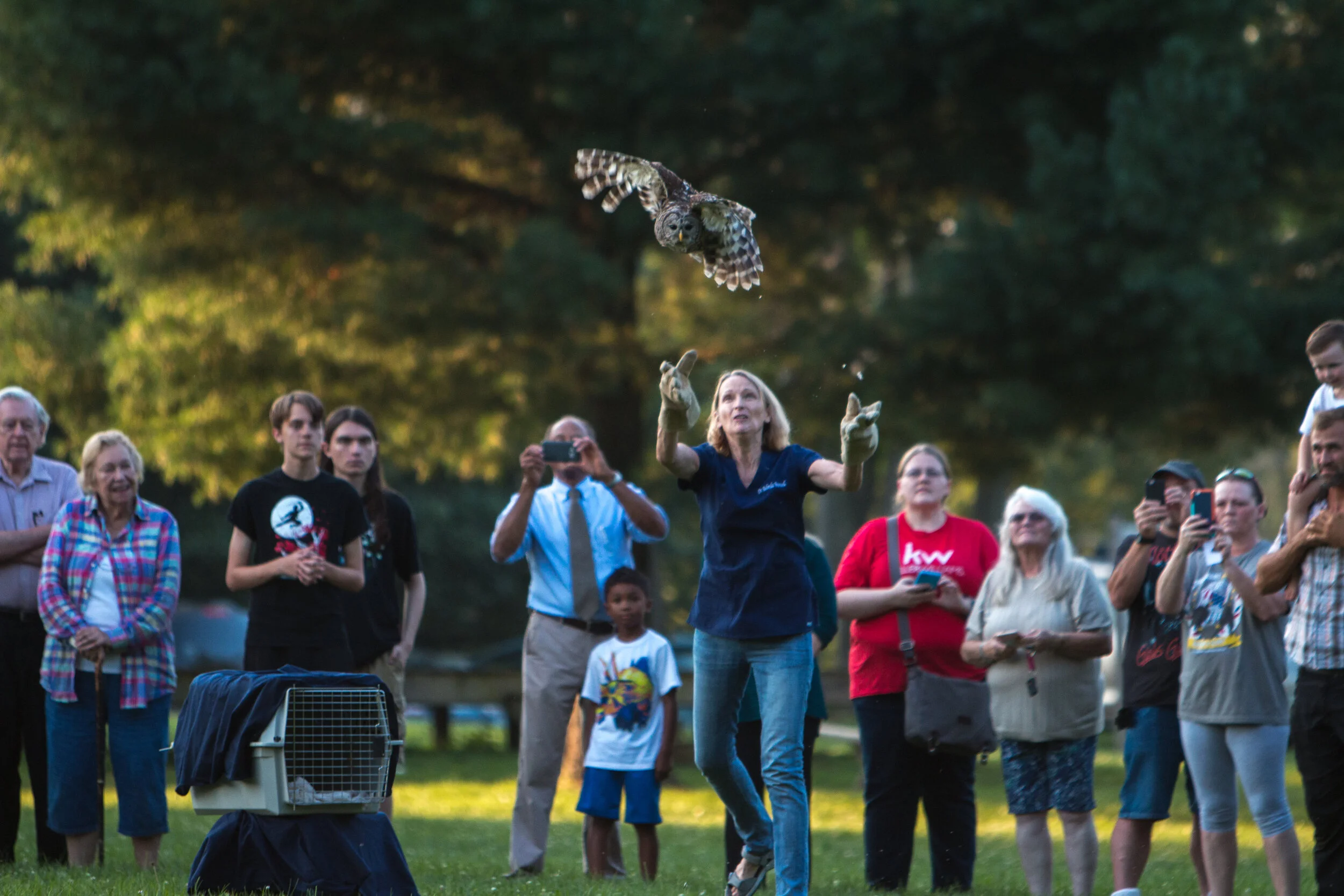 Wildlife Veterinary Care