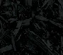 starburst_black.jpg