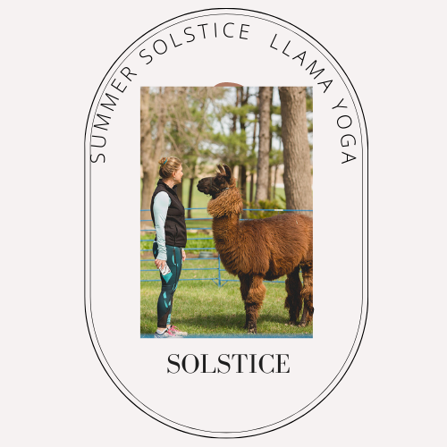 Terracotta Sitting Woman Illustration Solstice - Elegant Logo .png