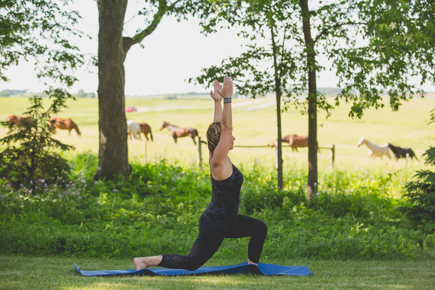 Horse Yoga Barre The Hayloft