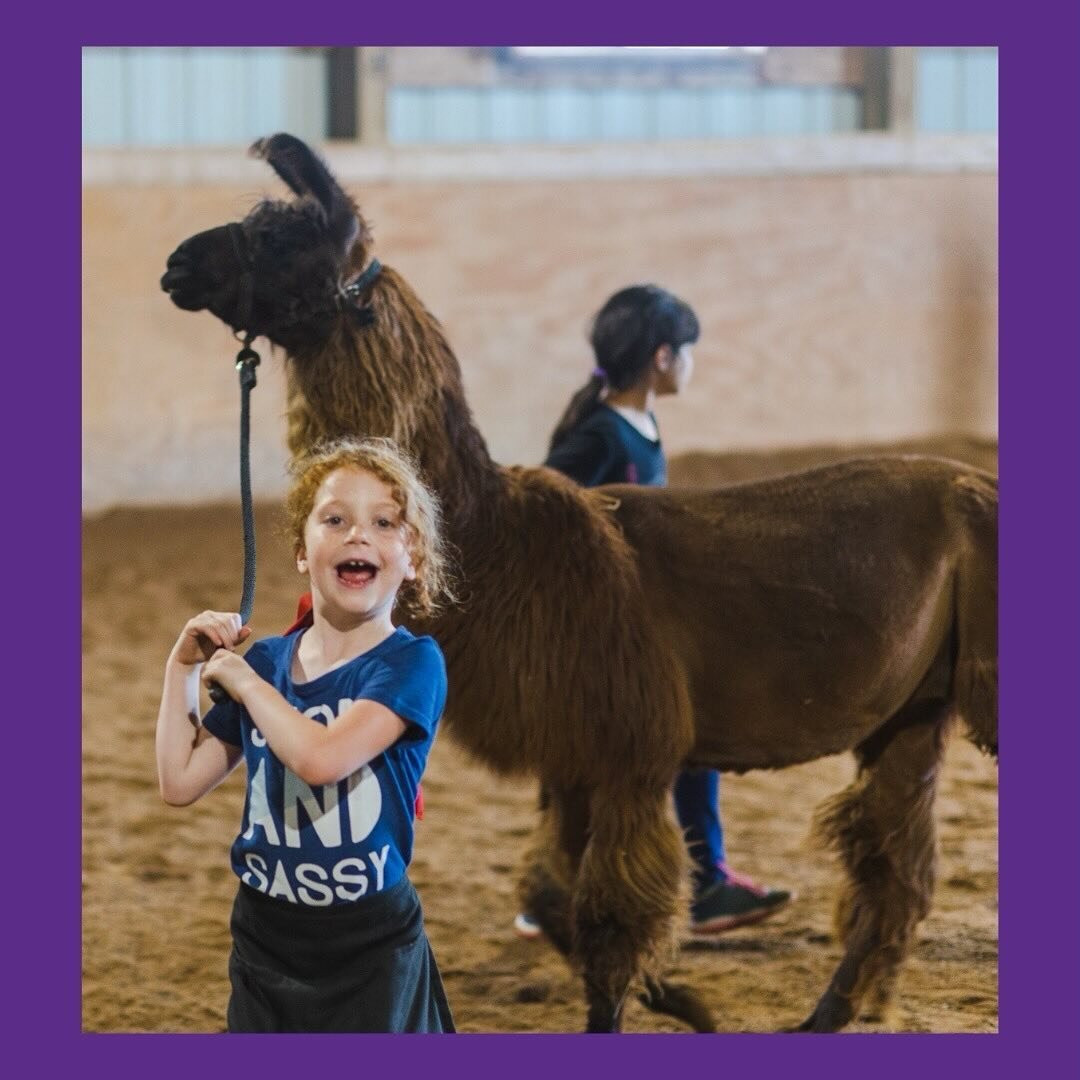 Birthday Wishes Come True at The Hayloft! ✨
⠀⠀⠀⠀⠀⠀⠀⠀⠀
Let&rsquo;s ditch the cake and candles for something truly special! Celebrate your birthday at The Hayloft, where majestic llamas, playful goats, and exciting horseback rides create an unforgettab