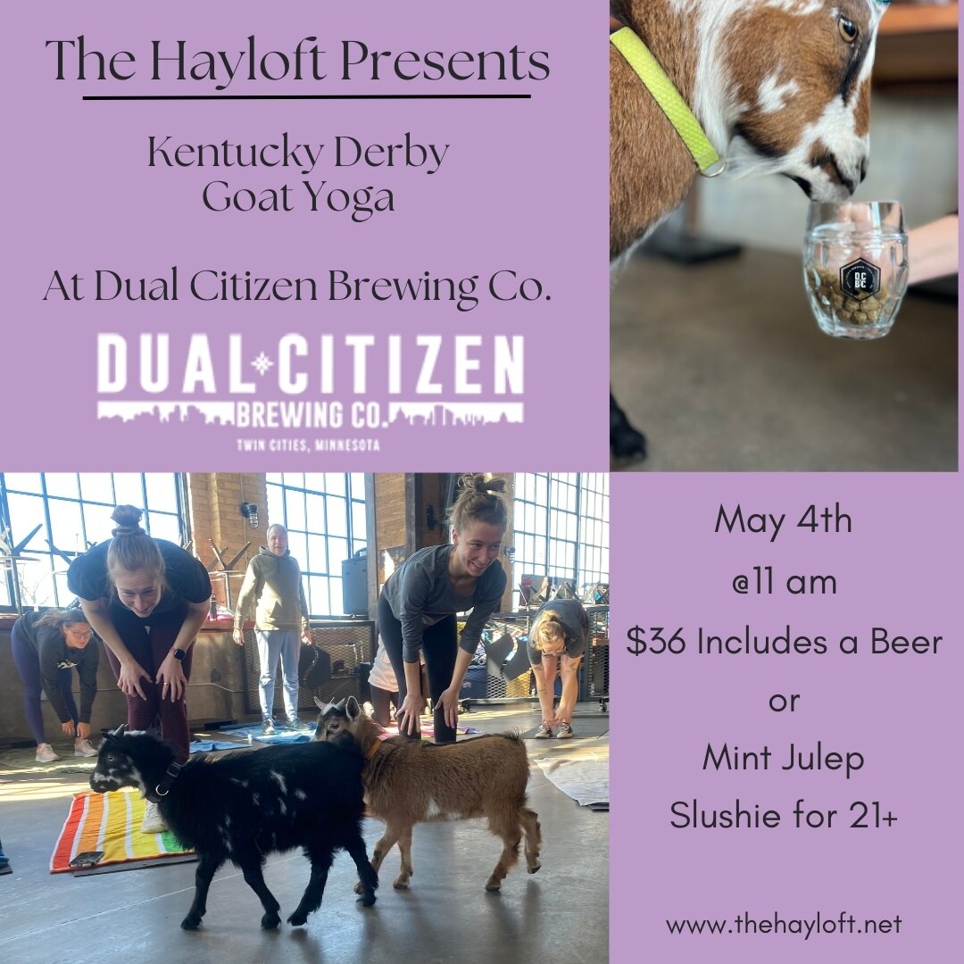 Saddle up for Churchill Downward Dog fun at our Kentucky Derby-themed goat yoga class!  Stretch, sip on a mint julep (beer also available!), and get your zen on with the most adorable yoga partners ever &ndash; dwarf goats!​​​​​​​​
​​​​​​​​
This clas