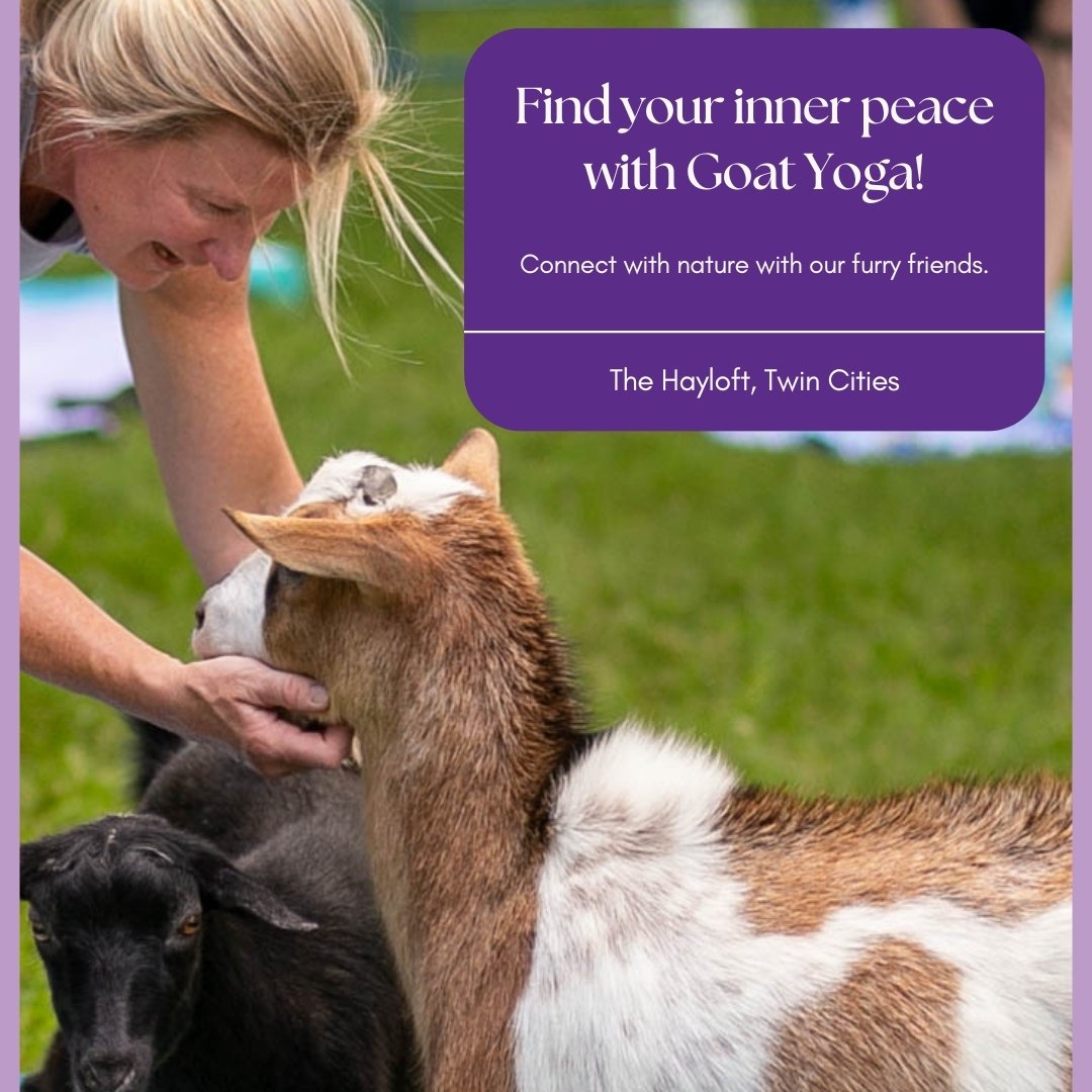 Unleash Your Inner Zen...Goat Style! &zwj;♀️ Flow through yoga poses surrounded by playful goats amidst the serene beauty of The Hayloft's 40-acre horse ranch. Laughter, relaxation, and adorable encounters are guaranteed! #goatyoga