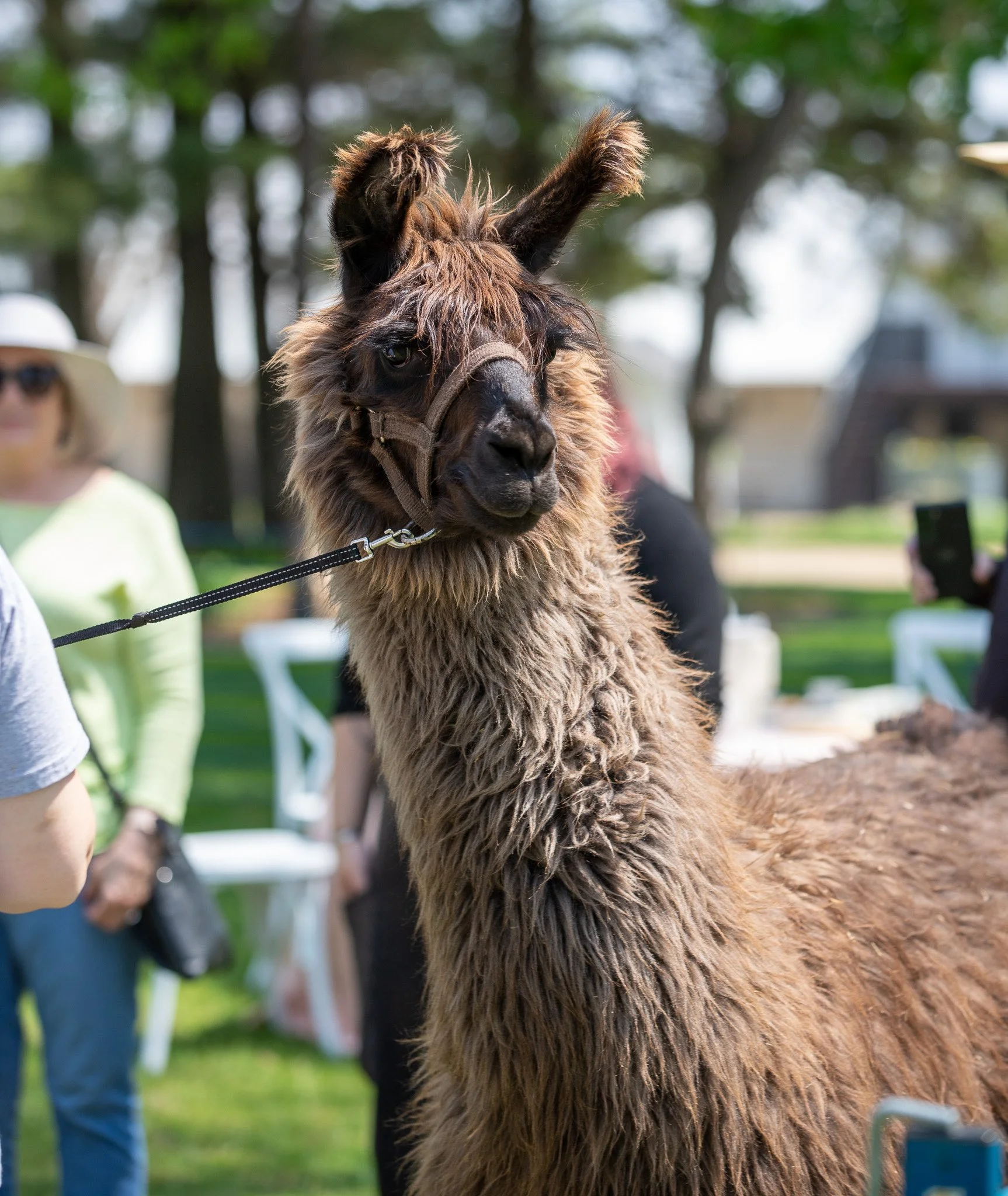 Corporate Events at The Hayloft