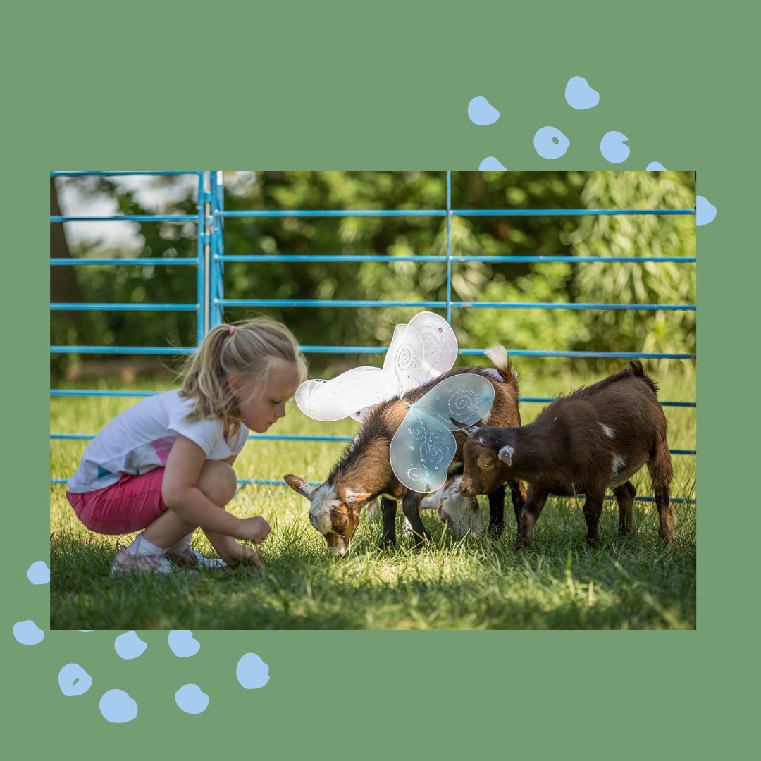 Make this summer magical with Ranch Camp at The Hayloft.

#summercamp #thehayloftmn #ranchcamp #twincitiesmom