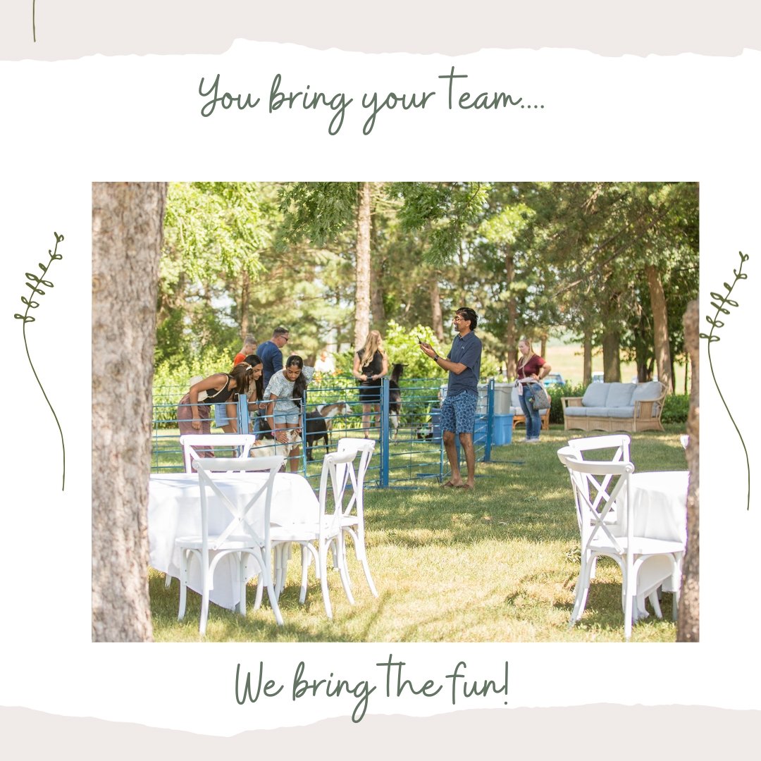 Trading spreadsheets for sunshine and smiles at our work party at The Hayloft! Soaking up the beautiful scenery and making memories with the best team. ☀️ #TeamGoals #OfficeOuting #AnimalEncounters #HayloftAdventures