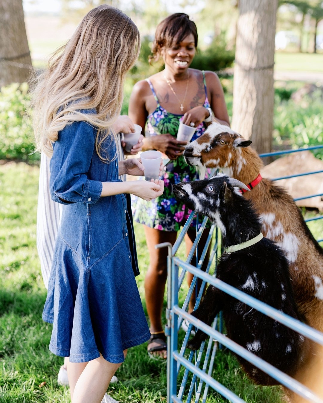 Who knew adulting could be this adorable? Spent some time petting goats, llamas, and mini donkeys in the most peaceful, upscale setting. And yes, there was craft coffee! ☕️🐐

#thehayloftmn #minnesota #twincities #stpaul