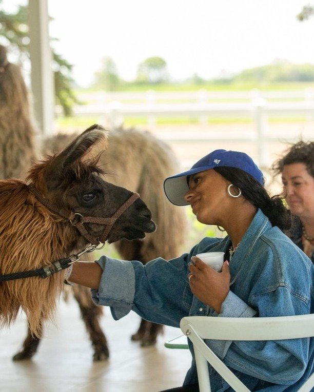 Adults deserve petting zoos, too!

The Twin Cities just got a whole lot cuter with this up close animal experience. 🦙 🫏 🐐 

#pettingzoo #Thehayloftmn #datenight #twincities #stpaulthingstodo