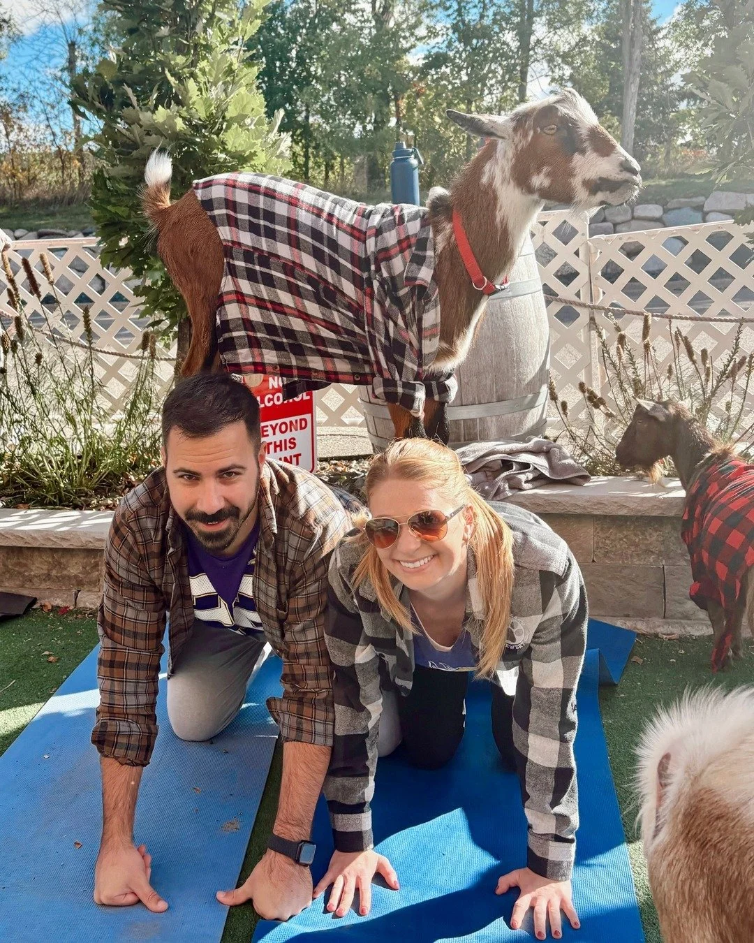 Yoga just got a whole lot cuter! 🐐 We&rsquo;re bringing back goat yoga, fall edition, at 9 Mile Brewery. These little ones will be sporting their best flannel outfits, and a cold beer is waiting for you after class. Don't miss out on this adorable a