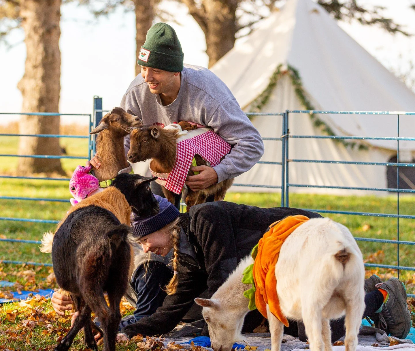 Feeling ghoulish, but still want to glow? ✨ Join us for Halloween Goat Yoga! Our costumed goats will bring the cheer, and our haunted hayloft will set the mood. Get your tickets for the most adorable way to celebrate spooky season!