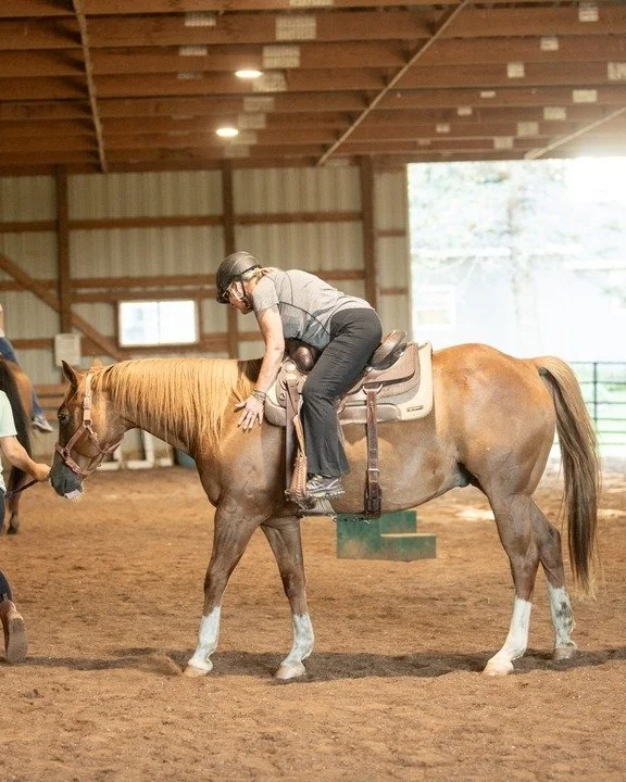 Fall is a time for grounding, and what better way to do that than with these gentle giants? Our horse yoga class combines the stillness of the season with the peaceful energy of our horses. Come and find your balance, both on and off the horse. Spots
