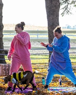 Don't be a scaredy-cat, join us for Halloween Goat Yoga! Our adorable little monsters (aka goats in costumes) can't wait to meet you in the haunted hayloft. It&rsquo;s the perfect blend of spooky and sweet!