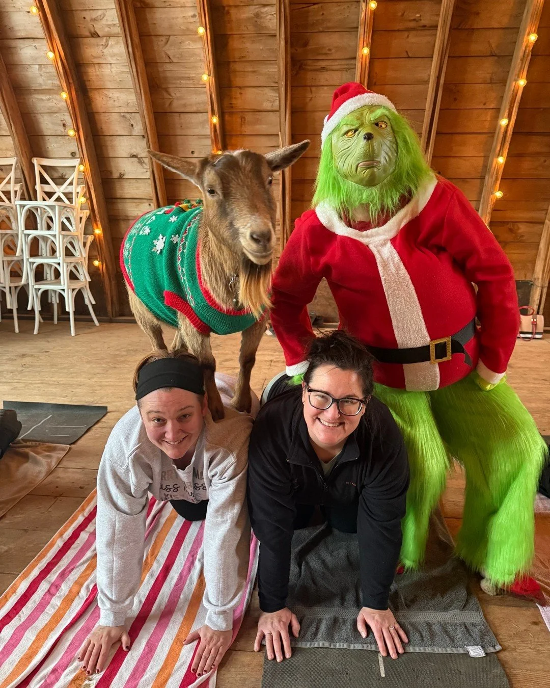 A grinchy goaty Christmas celebration to bring joy to your Holiday Season.

Join us for Grinchmas Goat Yoga&mdash;December 13th.