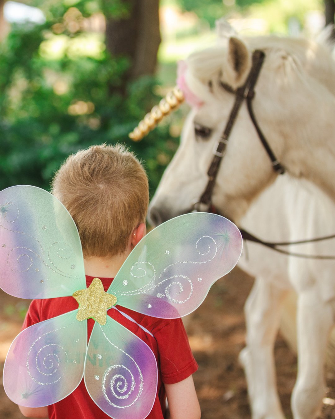 Summer camp dates have been released!!!!!!!! Let the magic begin. Visit our website to purchase camp tickets. 

#summercamp #horsecamp #mnsummer #stpaul #thehayloftmn