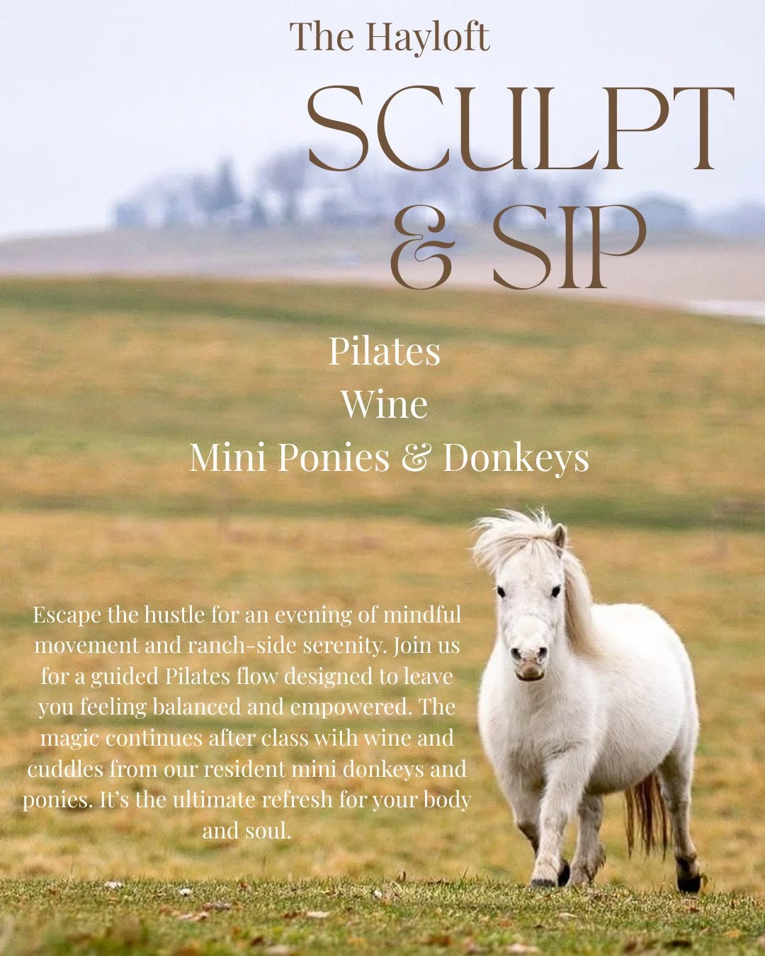 Find your center in the heart of the ranch. ✨⛰️

Join us for a guided mat Pilates session designed to help you move with intention. We&rsquo;re focusing on core stability, posture, and balance&mdash;all set against our tranquil outdoor backdrop.

But