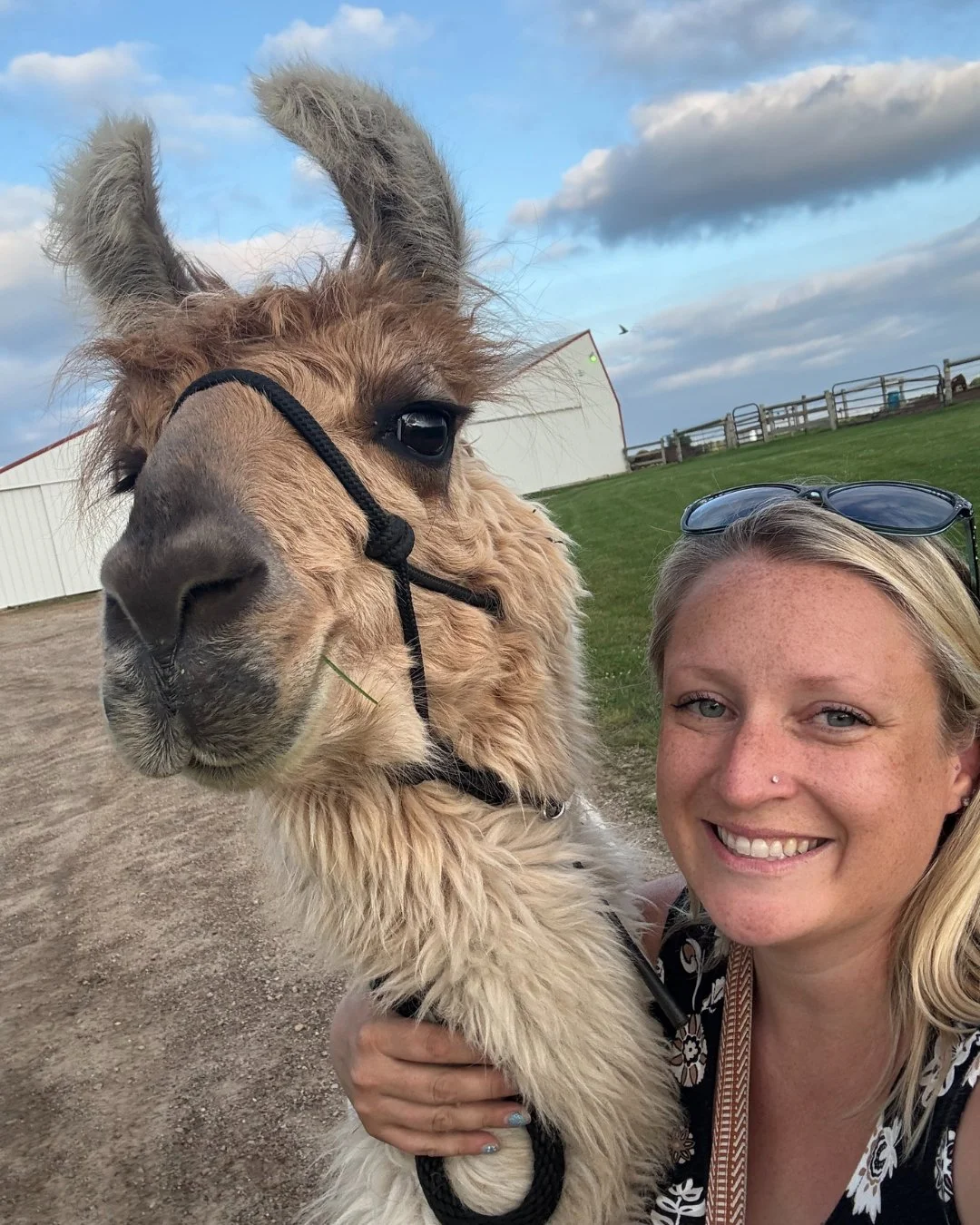 The llamas are calling! 🦙🍷

It&rsquo;s almost trekking season, and our calendar is filling up fast. From private sunset walks to public group treks, we have the perfect outdoor experience waiting for you.

✅ Walking with llamas
✅ Stunning ranch vie