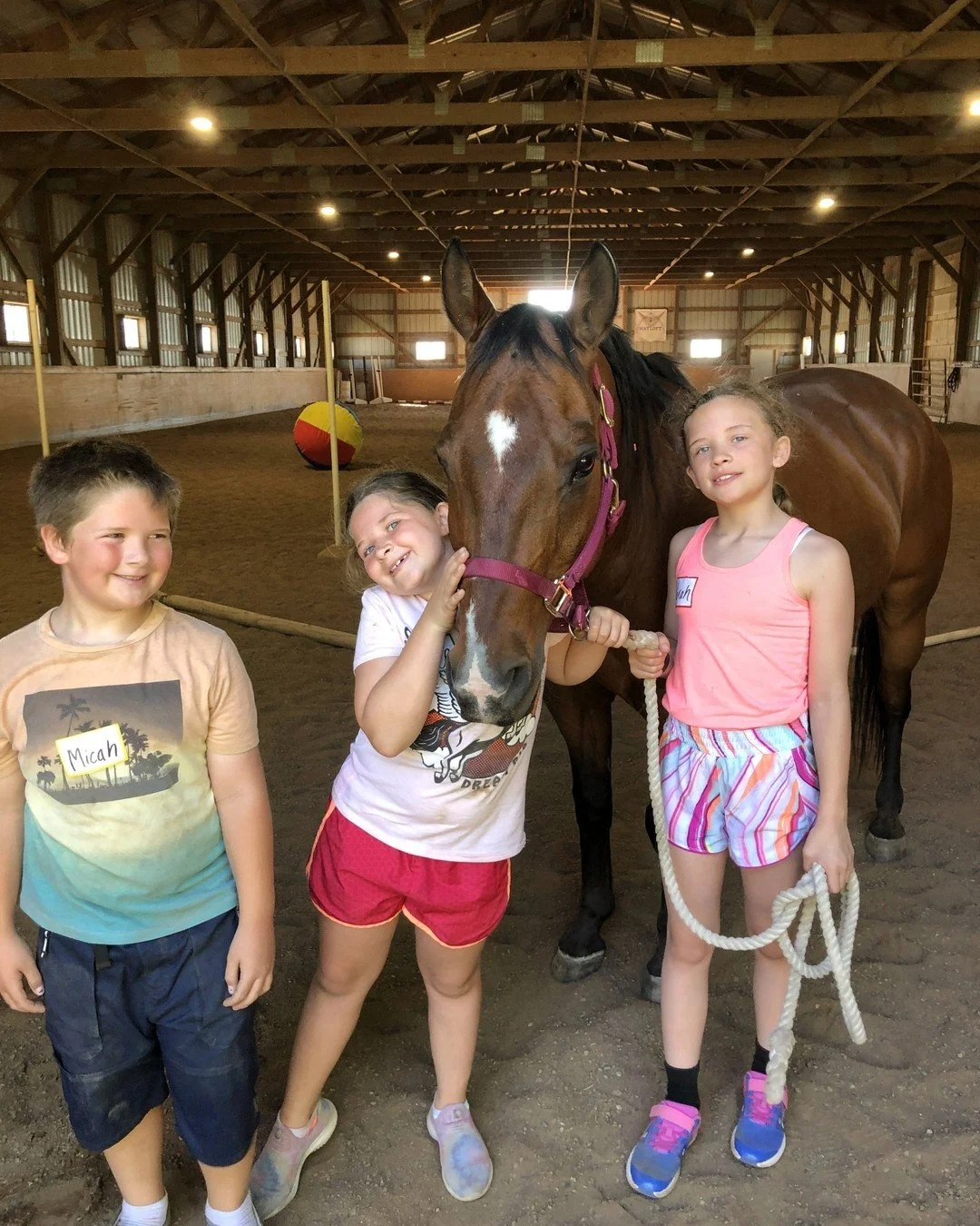 Trade screen time for saddle time this summer! 🌵🐎

Is your little wrangler (ages 5-10) ready for the Wild West? At The Hayloft&rsquo;s Cowboy &amp; Cowgirl Camp, we&rsquo;re bringing the ranch to St. Paul. This isn&rsquo;t just a camp&mdash;it&rsqu