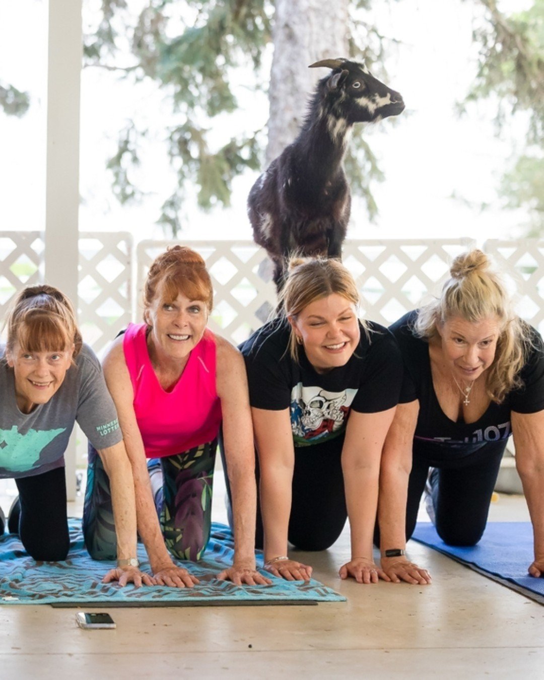 Forget the muddy barnyard&mdash;this is Goat Yoga, elevated. ✨🧘&zwj;♀️

At The Hayloft, we&rsquo;ve traded the traditional farm for a beautifully curated ranch experience just minutes from St. Paul. Picture this: a crisp white pavilion, manicured la