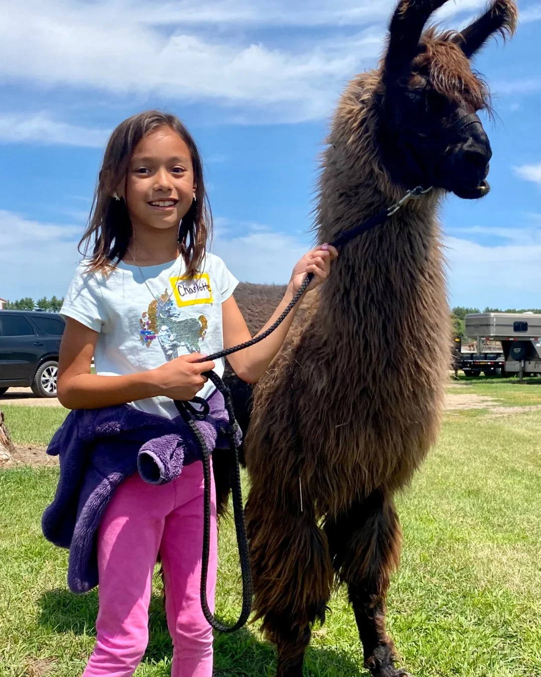Whole 'llama' fun happening right here!

Llama Ranch Camp is for children who love llamas and want to get upclose and personal with them as they learn all about these gentle creatures.

Just minutes from St.Paul. Our Minnesota llama ranch is the best
