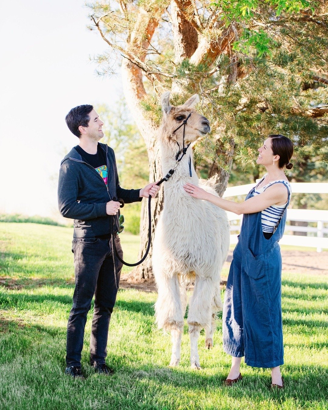 Looking for unique things to do in St. Paul, Minnesota? 🌲🦙 Combine adventure and relaxation with a Llama Trek and Wine Tasting.

Located just minutes from the heart of St. Paul, our guided treks offer:

Scenic trail walks with friendly, pack-traine