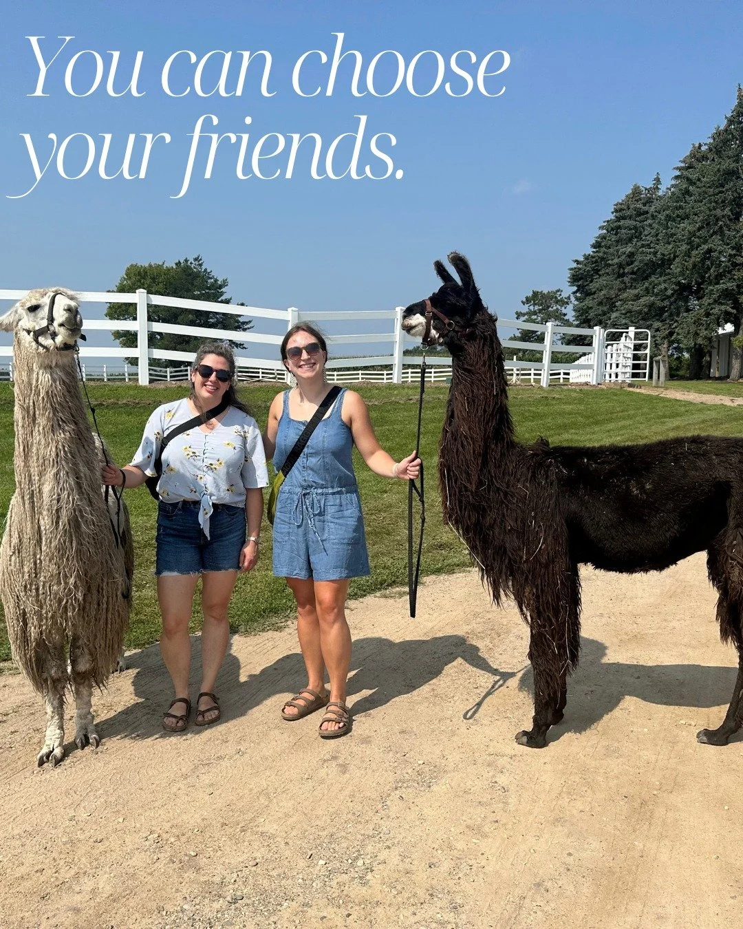 Wine a little, trek a lot! 🍷🦙 Trade the Twin City streets for some quality trail time with our new woolly besties. There&rsquo;s truly nothing like sipping wine while walking a llama through the scenic landscape of the Minnesota countryside.

If yo